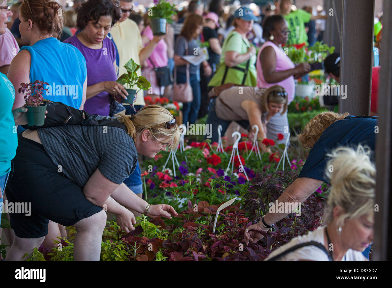 Blume-Tag auf Detroits östlichen (Bauern) Markt Stockfoto