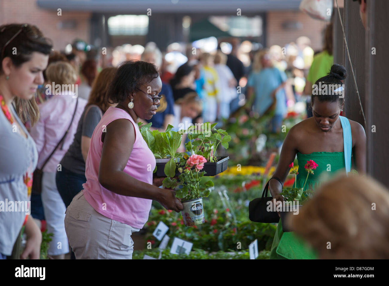 Blume-Tag auf Detroits östlichen (Bauern) Markt Stockfoto