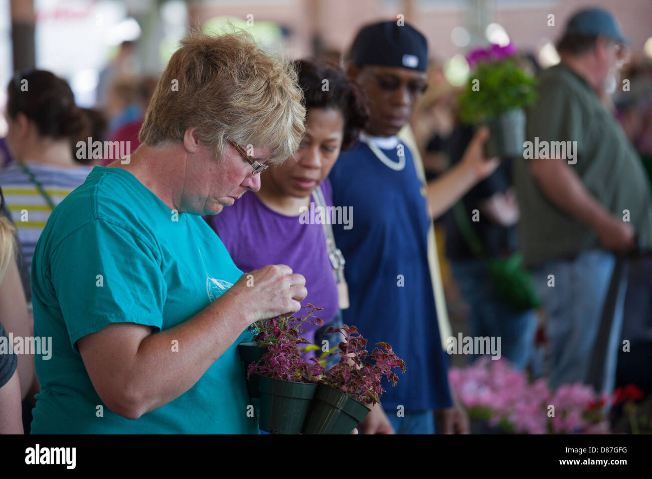 Blume-Tag auf Detroits östlichen (Bauern) Markt Stockfoto