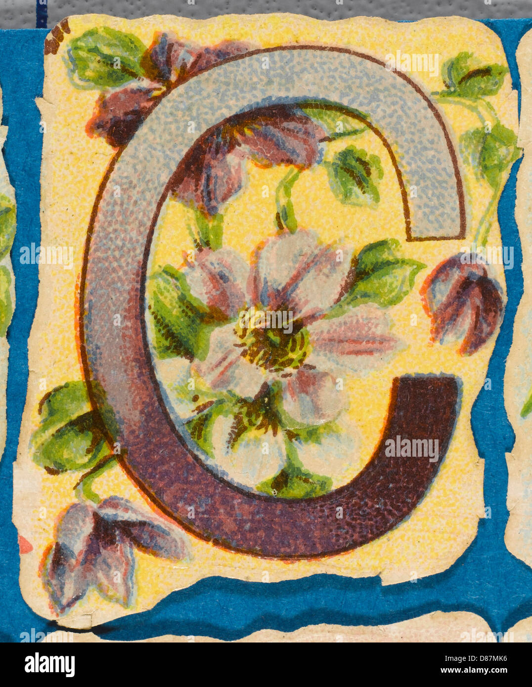 Dekoratives Blumenalphabet – C Stockfoto