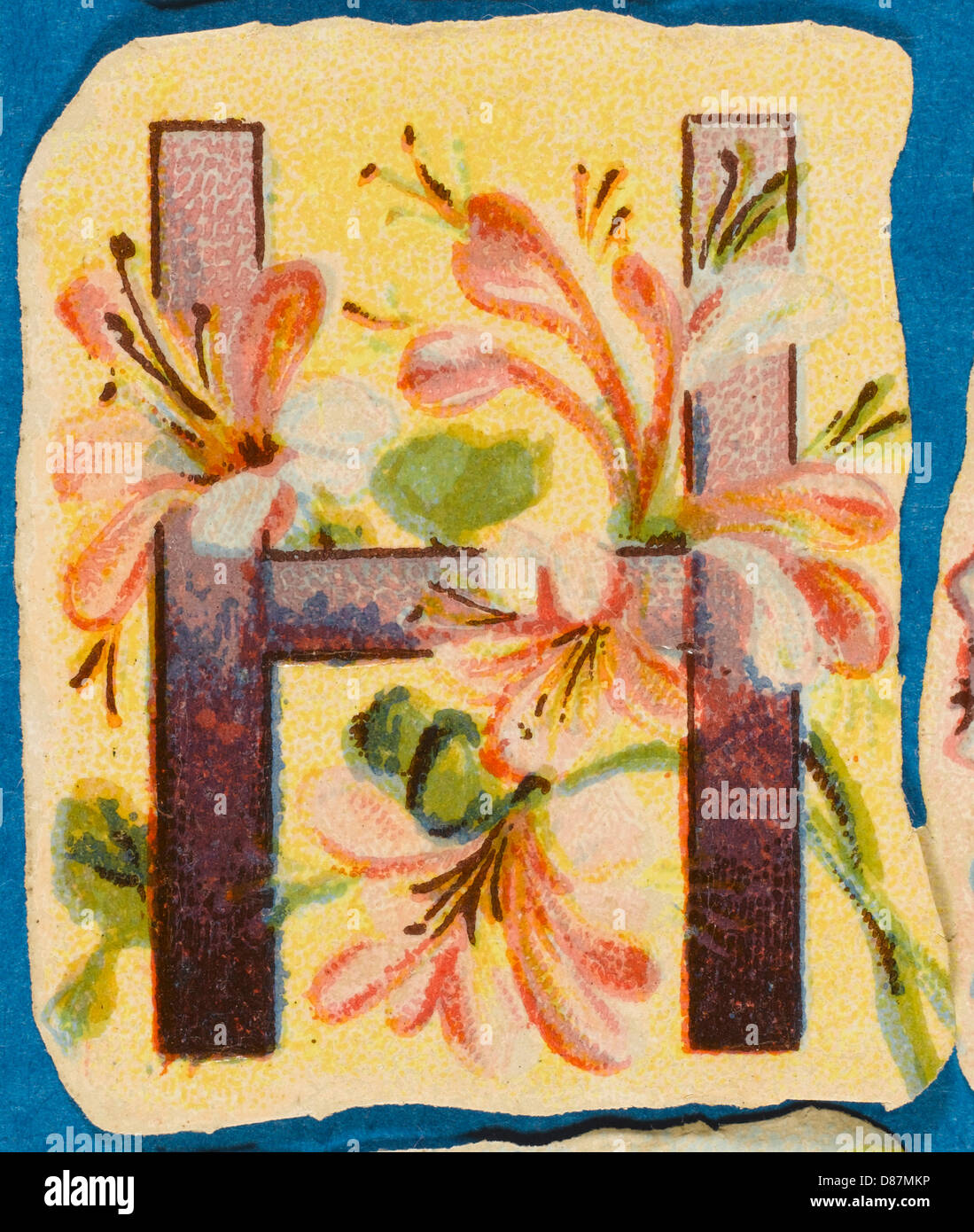 Dekoratives Blumenalphabet – H Stockfoto