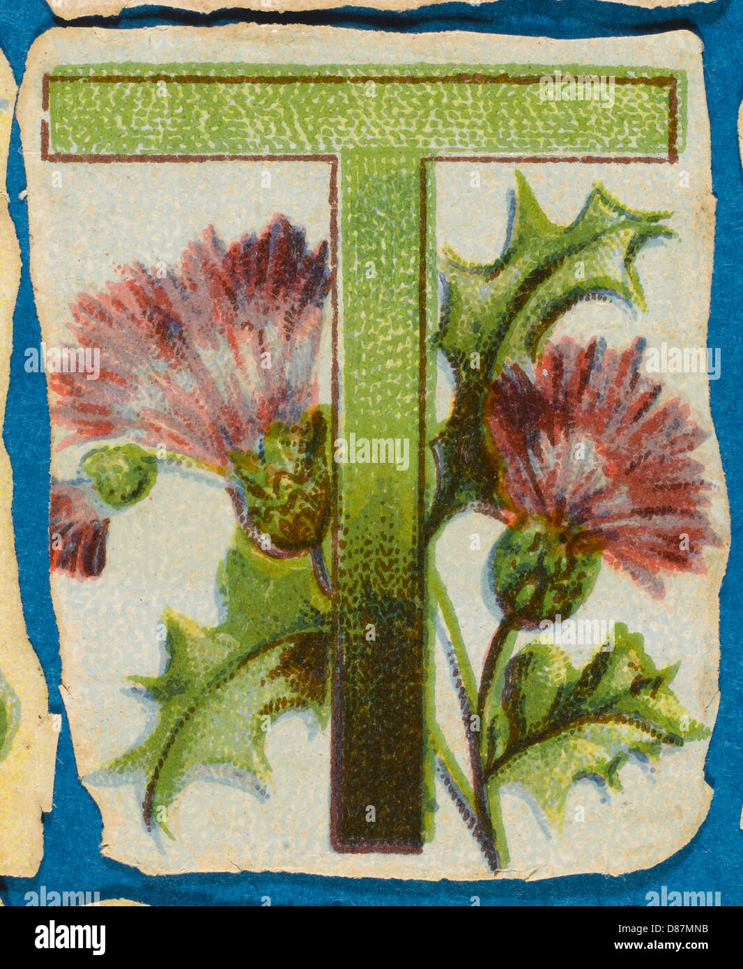 Dekoratives Blumenalphabet – T Stockfoto