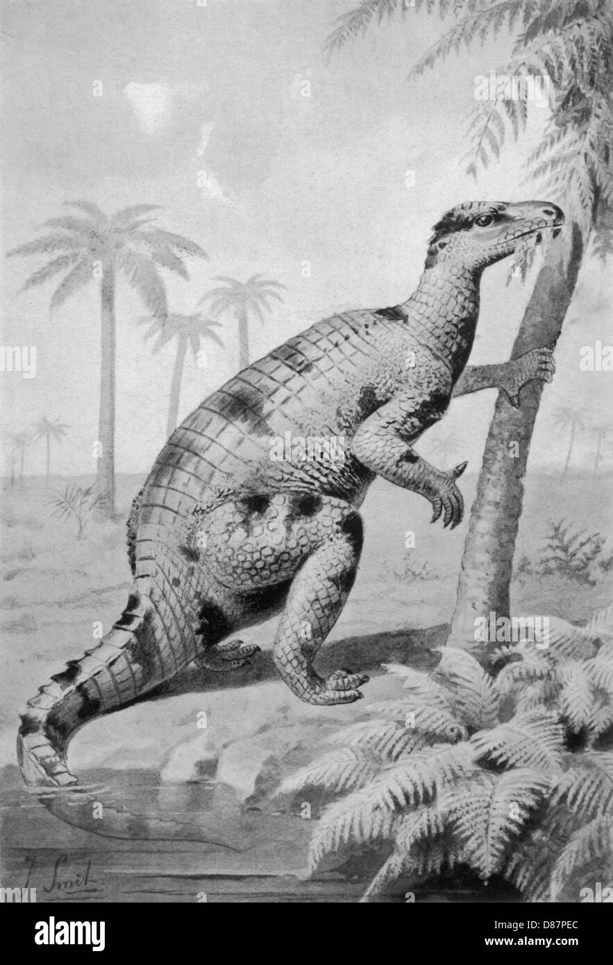 DINOSAURIER/IGUANODON Stockfoto