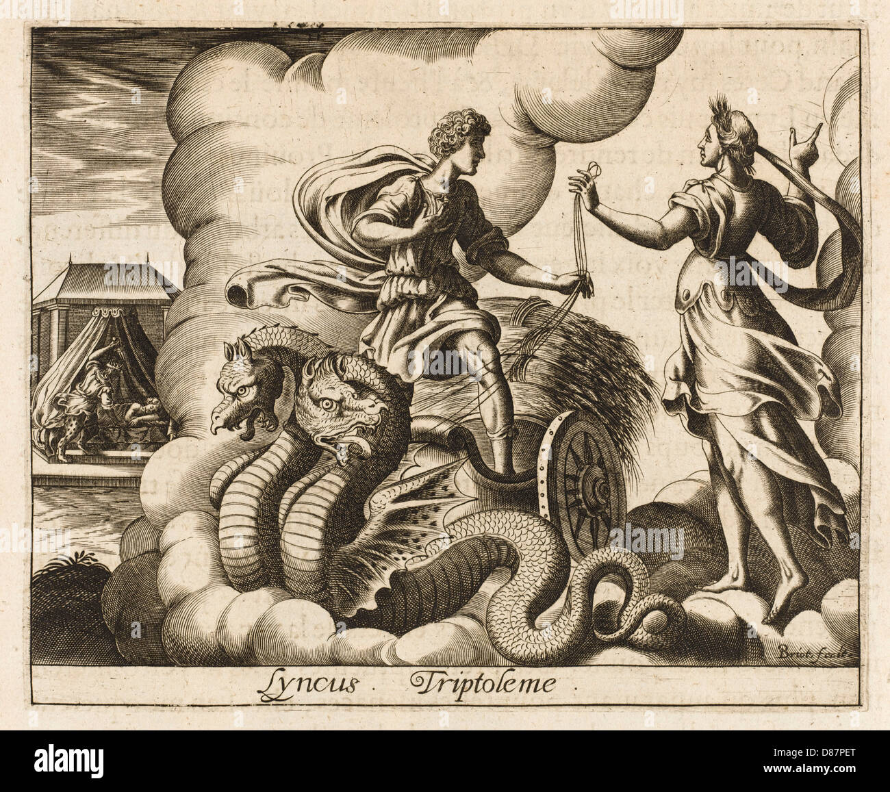 Triptolemus lyncus Fotos und Bildmaterial in hoher Auflösung Alamy