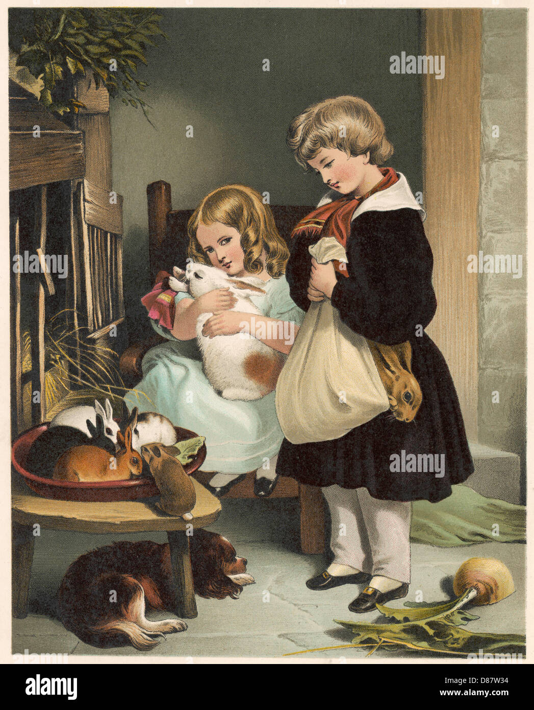 HAUSKANINCHEN C1860 Stockfoto