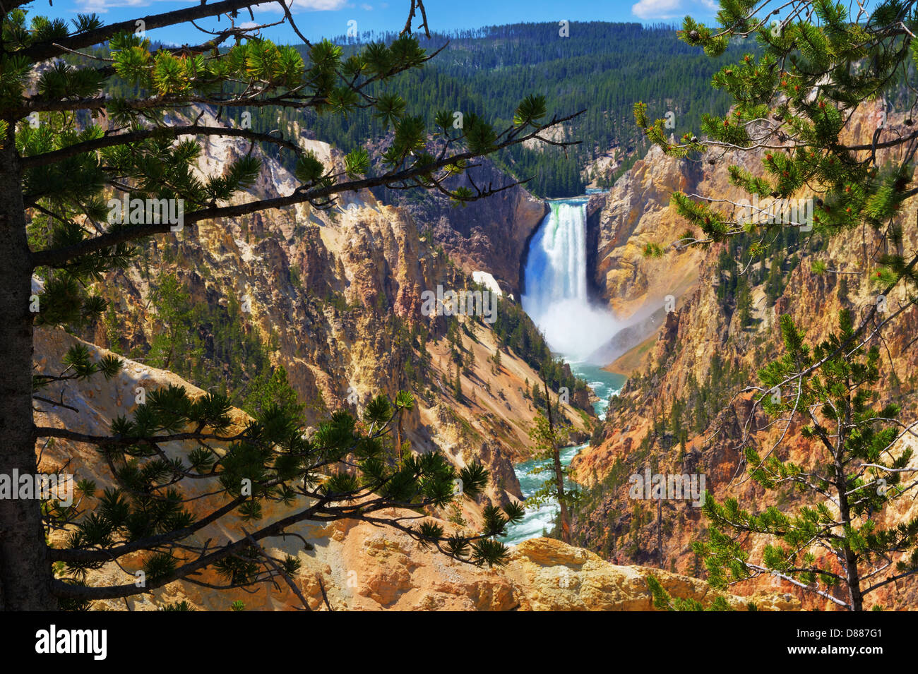 Stürze und Grand Canyon des Yellowstone zu senken, wie gesehen von des Künstlers Punkt im Sommer im Yellowstone-Nationalpark, Wyoming Stockfoto