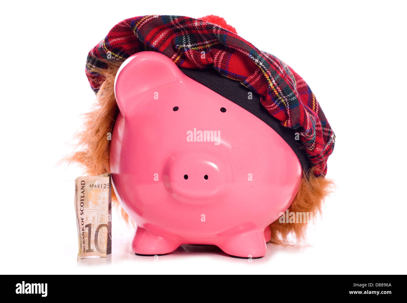 Schottische Sparschwein Einsparungen Studio Ausschnitt Stockfoto