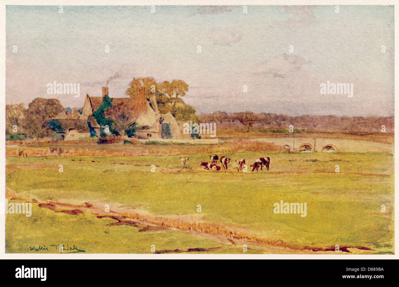 Wessex - Wool Manor House Stockfoto