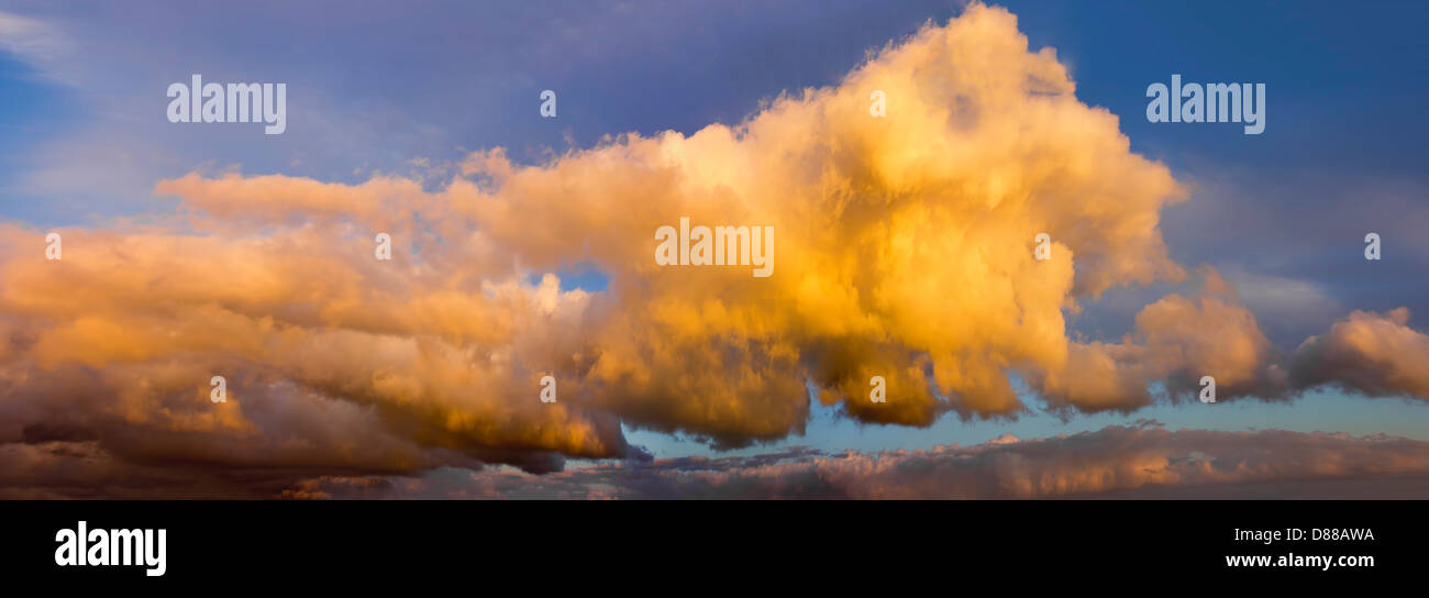 Cumulus-Wolken gegen blauen Himmel bei Sonnenuntergang Panorama Stockfoto