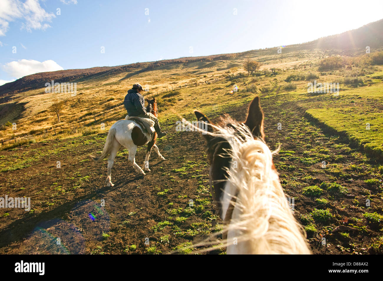 Chilenische Patagonien auf dem Pferderücken Stockfoto