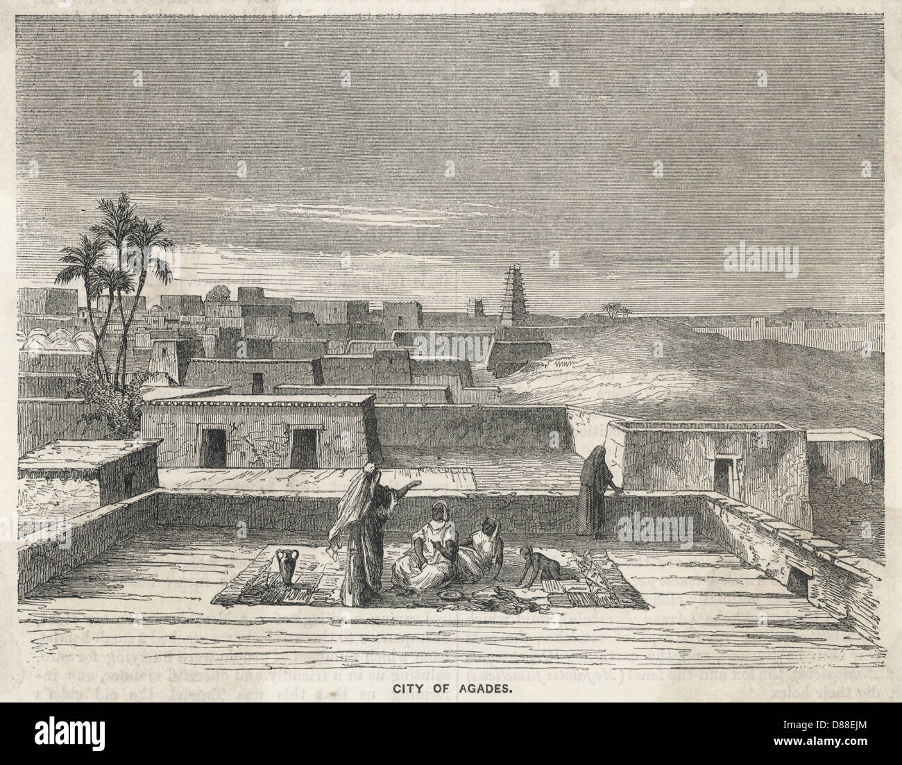 NIGER/AGADES 1850S Stockfoto