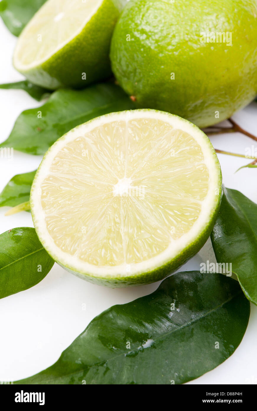 Mit Blättern auf einem weißen Kalk Stockfoto