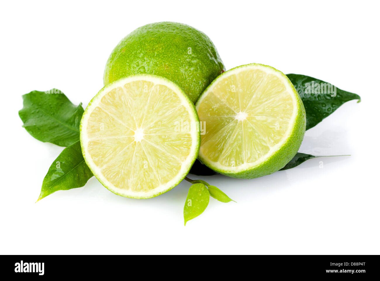 Mit Blättern auf einem weißen Kalk Stockfoto