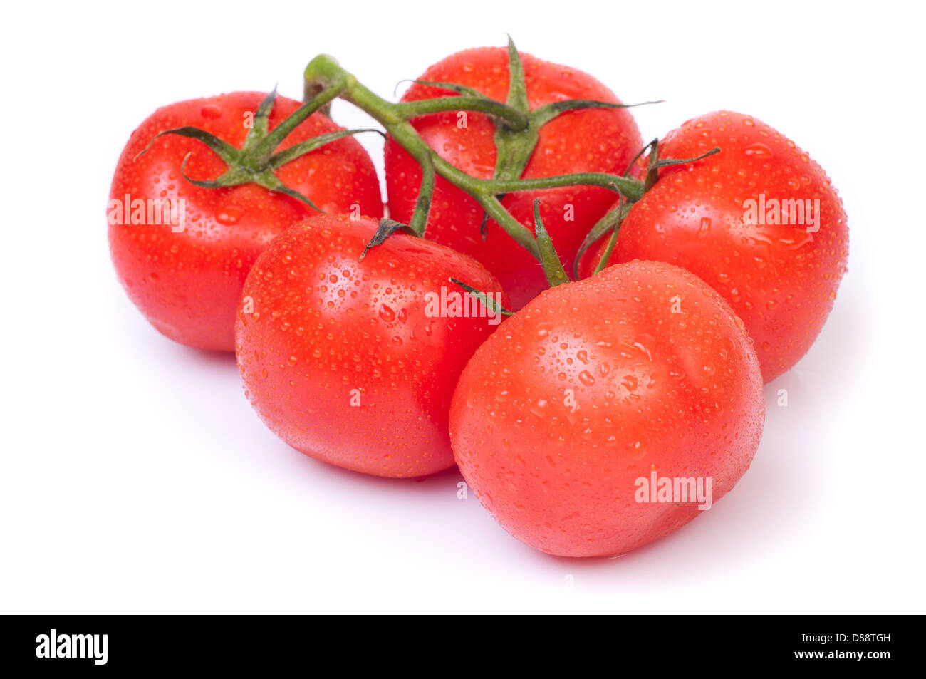 Rote Bio Cherry-Tomaten, die isoliert auf weißem Hintergrund Stockfoto