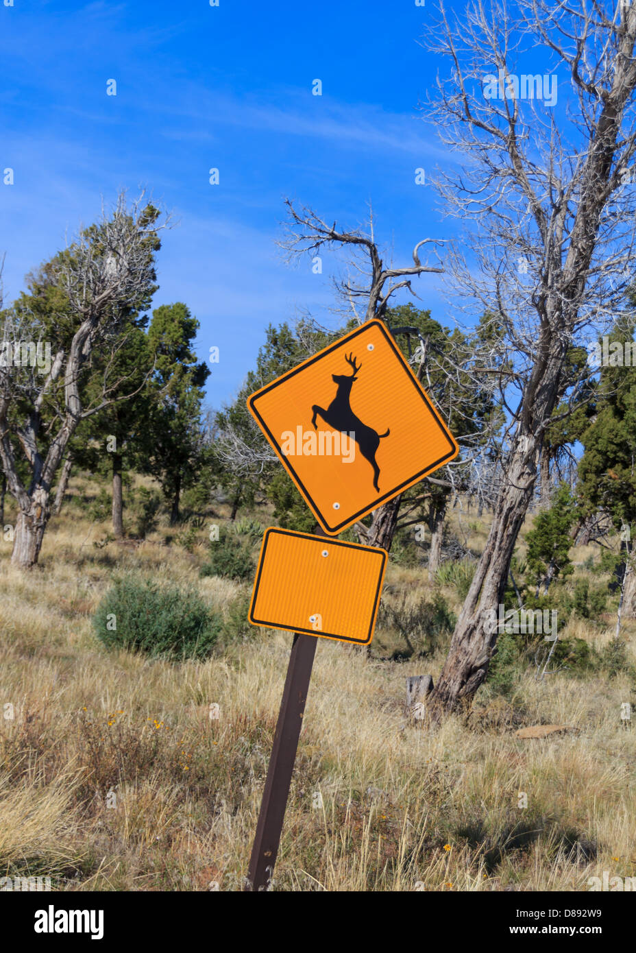 Sign yellow warning deer -Fotos und -Bildmaterial in hoher