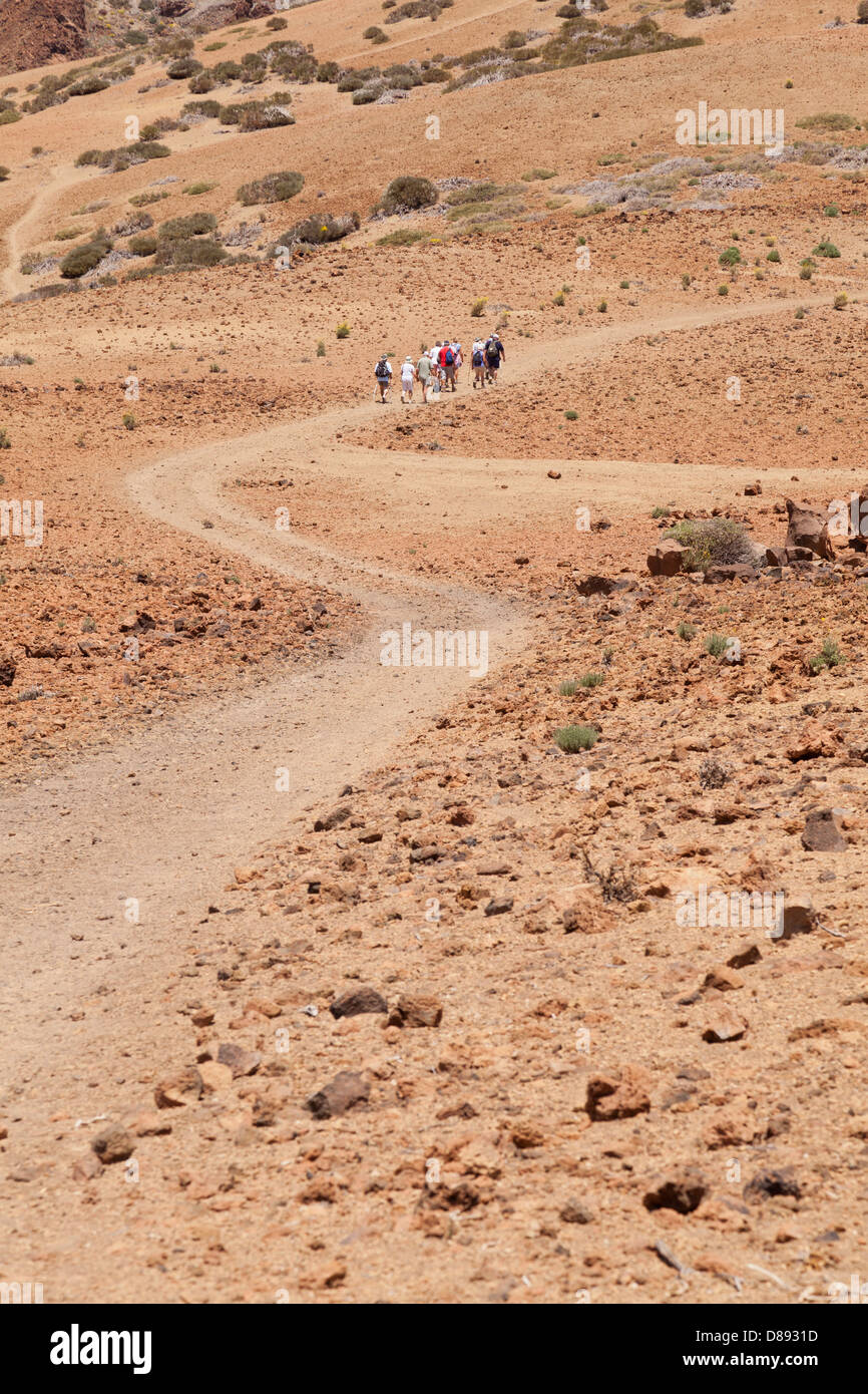 Eine Gruppe von Wanderern, die Überquerung einer einsamen Strecke in der Las Canadas del Teide Nationalpark auf Teneriffa, Kanarische Inseln, Spanien Stockfoto