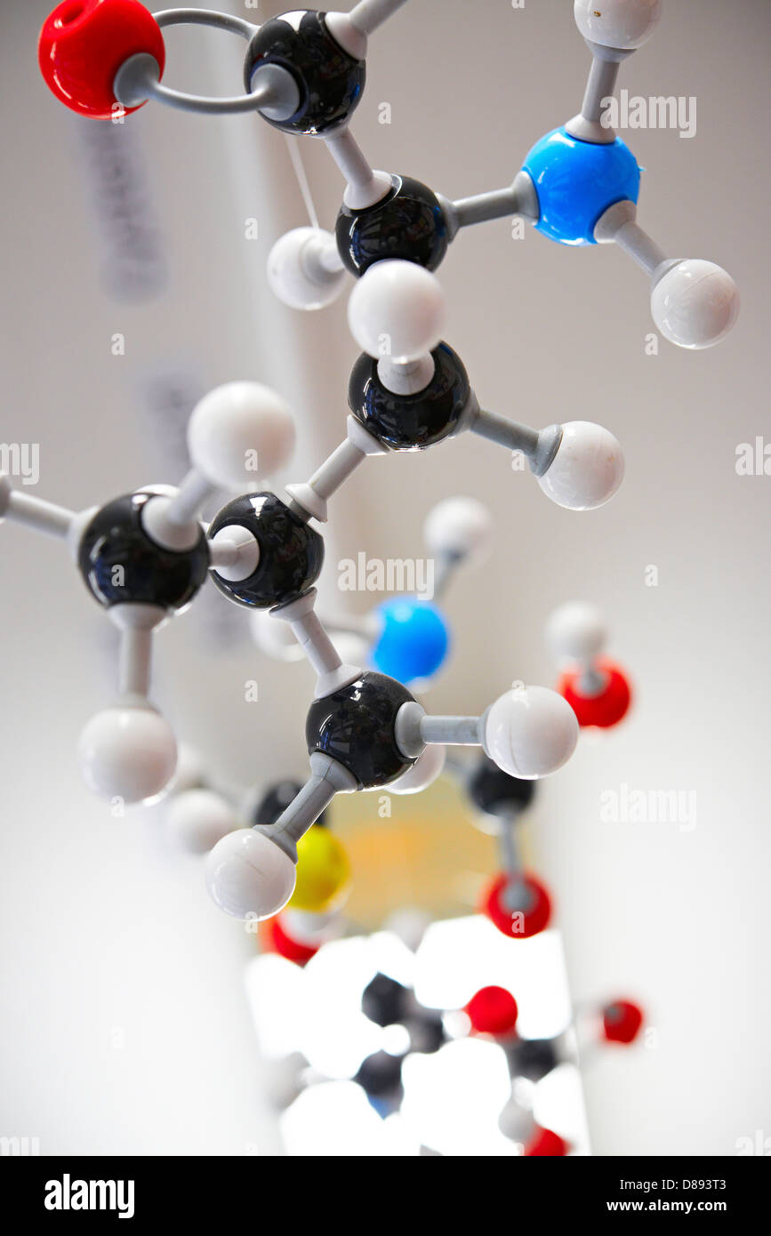 Ein wissenschaftliches Modell eines Moleküls DNA-Modell Stockfoto