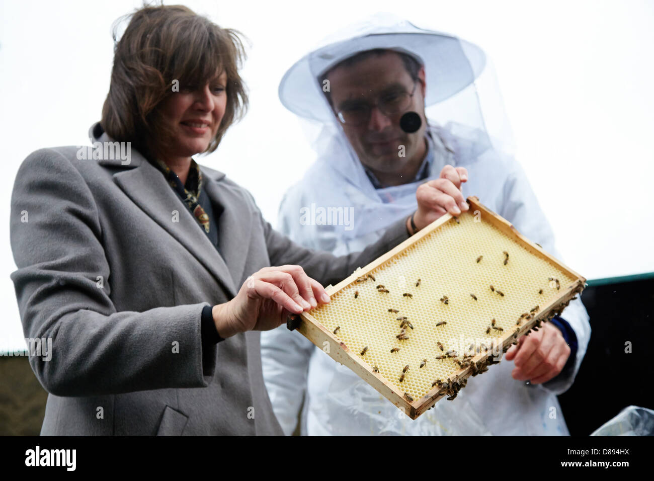 Berlin, Deutschland. 22. Mai 2013. Imker trifft sich mit Bundesministerin Ilse Aigner auf dem Dach des Berliner Dom in Berlin und sie führten eine neue Biene App. Am Bild: Landwirtschaft Ministerin Ilse Aigner und Imker Uwe Marth zusammen auf dem Dach des Berliner Doms mit dem Bienenvolk Credit: Reynaldo Chaib Paganelli / Alamy Live News Stockfoto