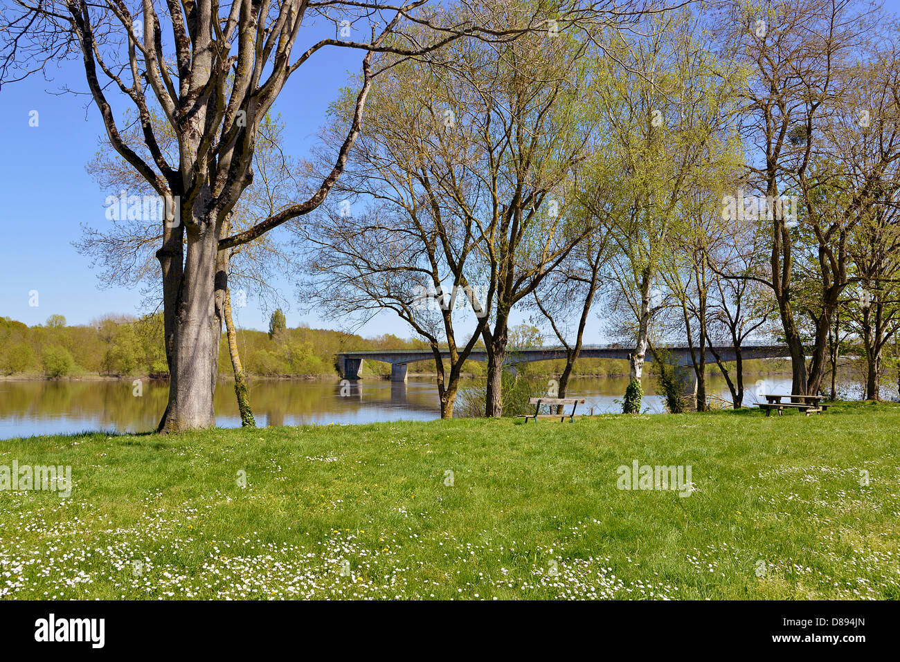 Die Ufer des Flusses Vienne in Candes-Saint-Martin mit Bäumen, Gemeinde im Département Indre-et-Loire, Region Centre in Fra Stockfoto