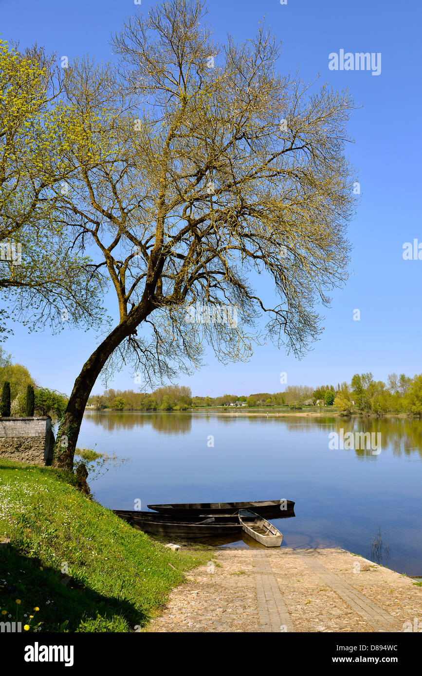 Die Ufer des Flusses Vienne in Candes-Saint-Martin mit Bäumen, Gemeinde im Département Indre-et-Loire, Region Centre in Fra Stockfoto