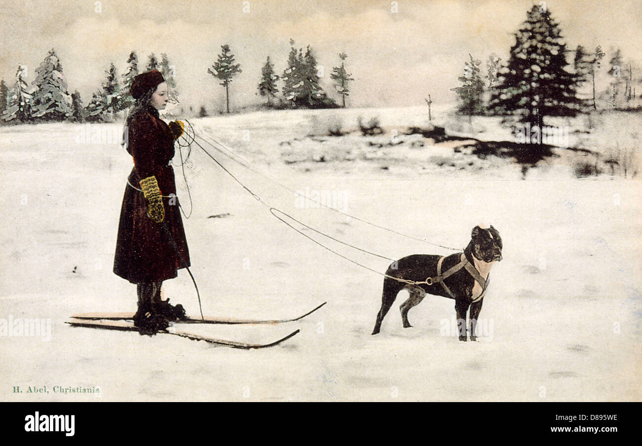 Ski Girl von Dog abgeschleppt Stockfoto