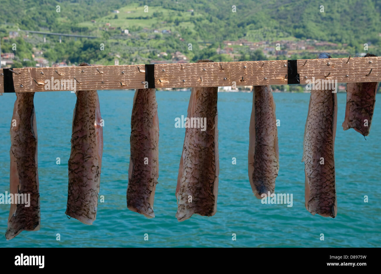 Fische Trocknen auf Rack, Monte Isola, Lago d ' Iseo, Lombardei, Italien Stockfoto