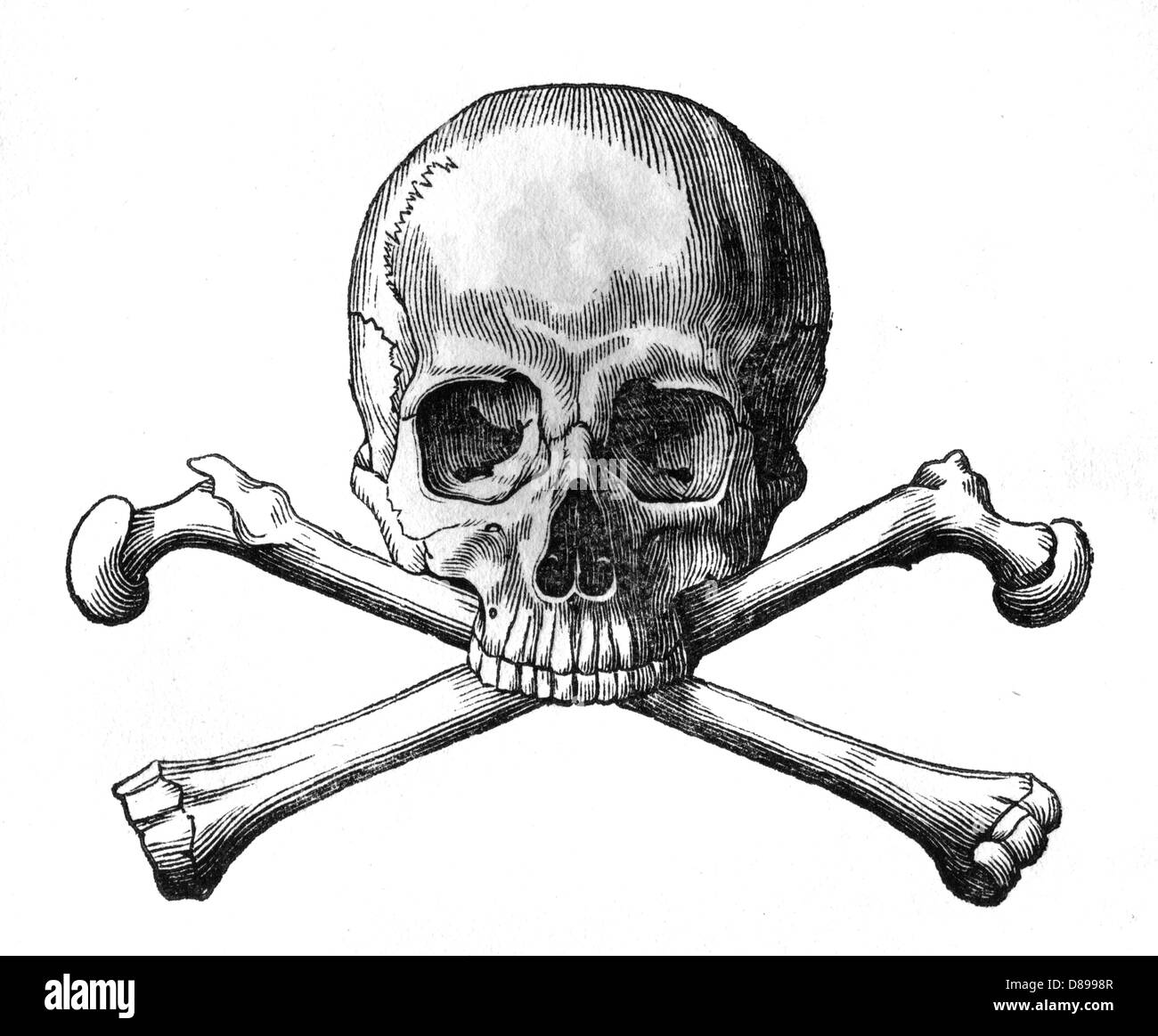 Skull and crossbones -Fotos und -Bildmaterial in hoher Auflösung – Alamy