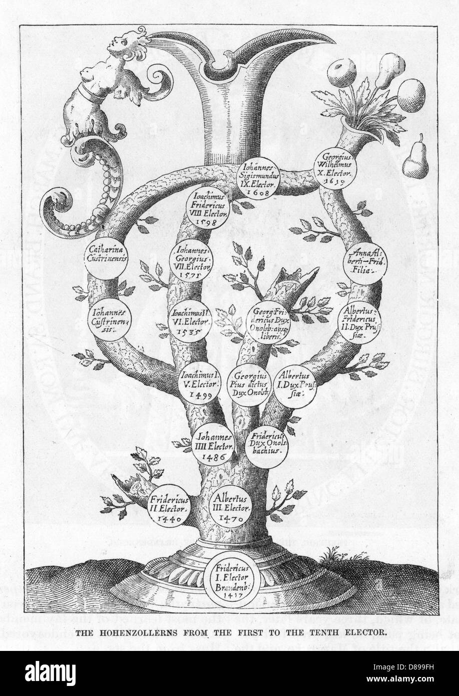 HOHENZOLLERN FAM-BAUM Stockfoto