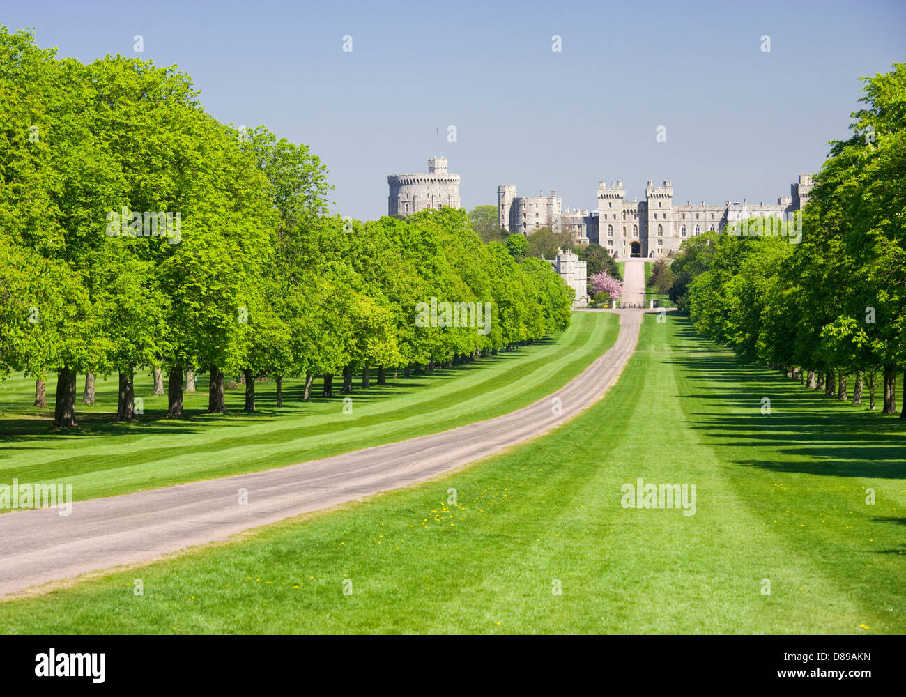 Windsor Castle aus dem langen Spaziergang, Berkshire, England, UK. Stockfoto