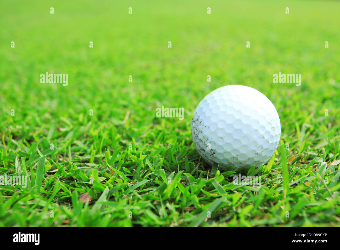 Golfball im fairway Stockfoto