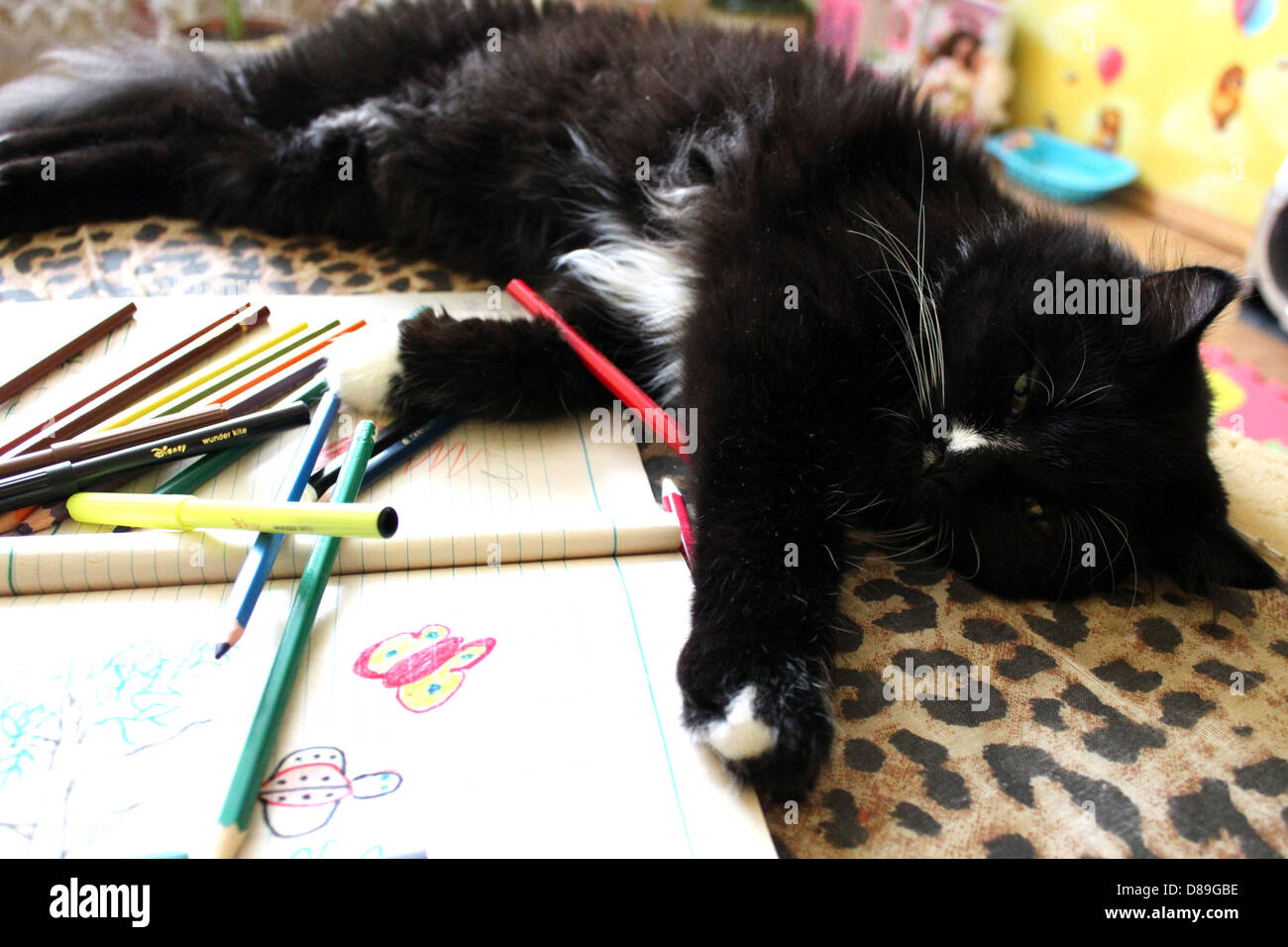  Foto zu Liegende katze zeichnen -Fotos und -Bildmaterial in hoher Auflösung – Alamy 