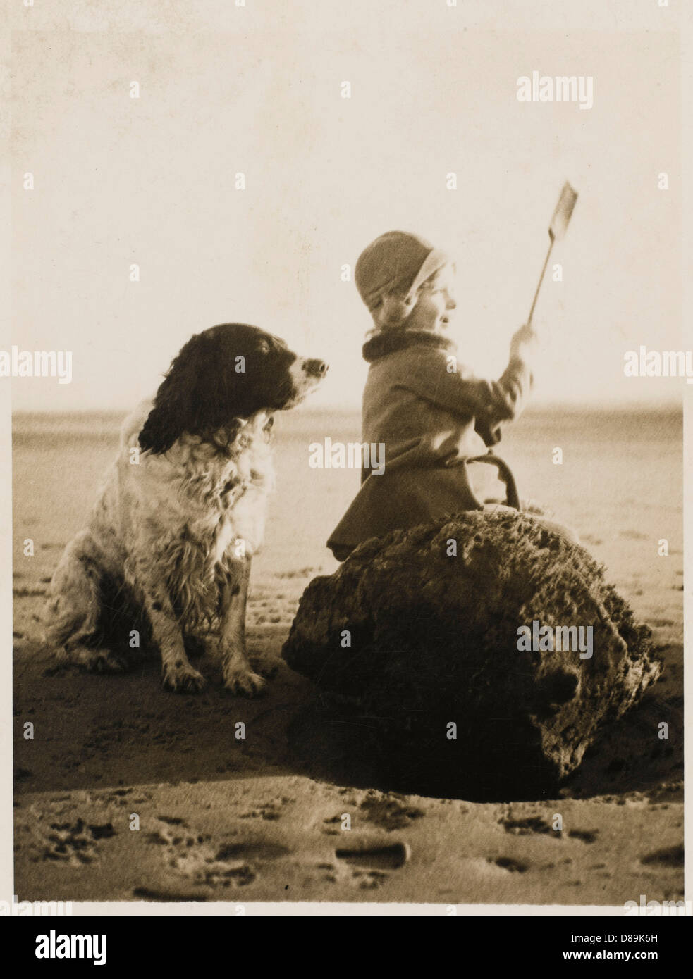 EINER AM STRAND MIT HUND Stockfoto