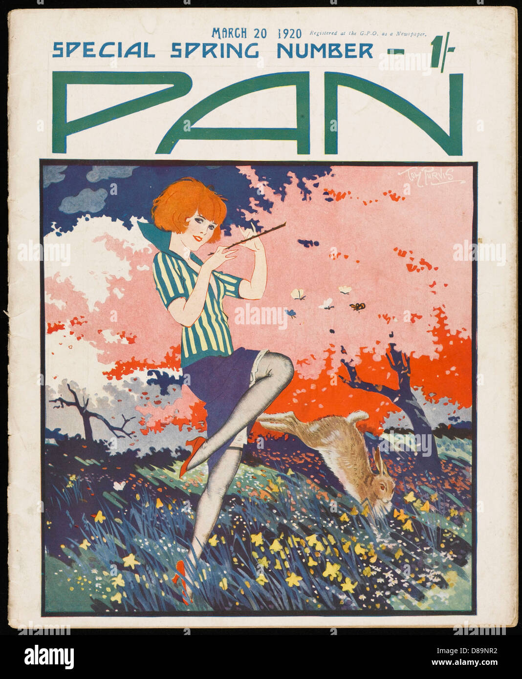 FEDER DER ABDECKUNG DER WANNE 1920 Stockfoto