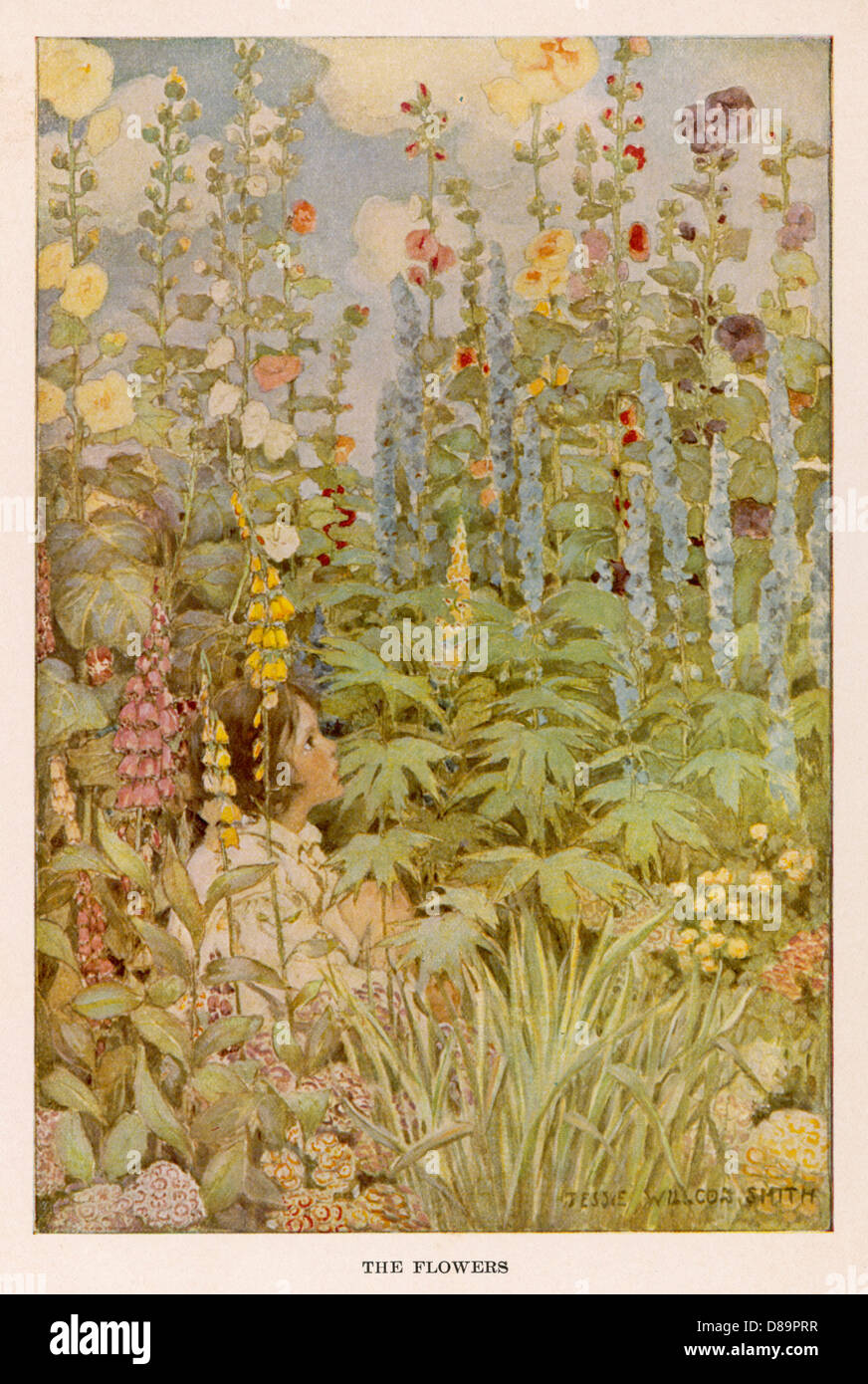 STEVENSON/GEDICHTE/BLUMEN Stockfoto