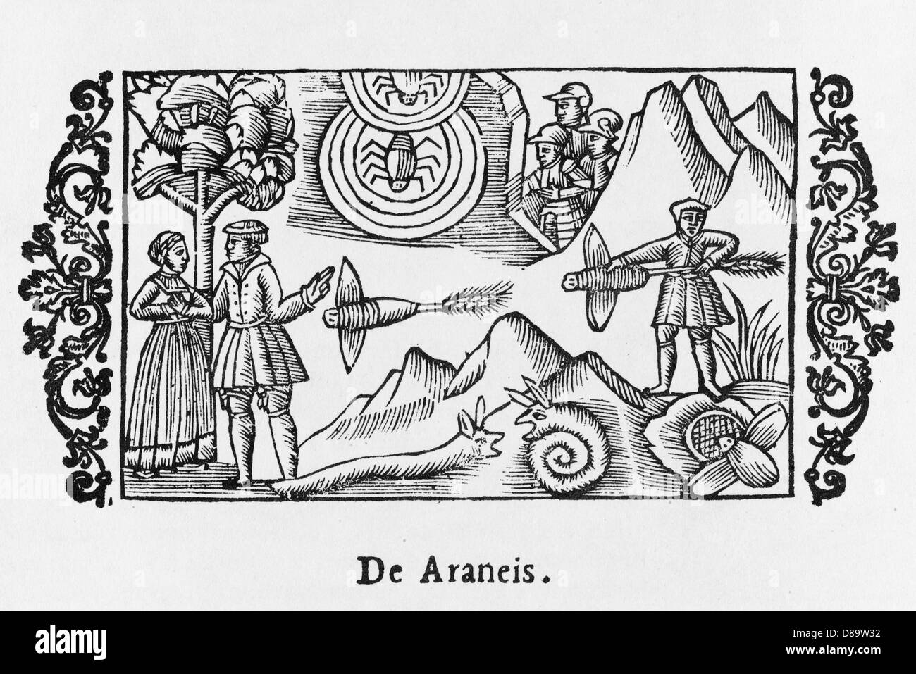 SKANDINAVISCHE ARACHNIDEN Stockfoto