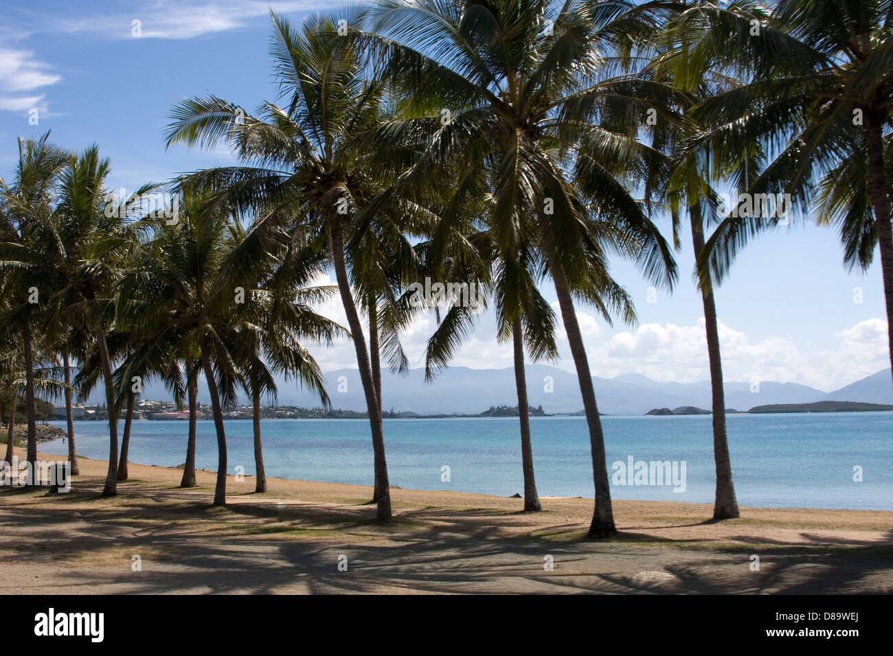 Palm von Bäumen gesäumten Strand von Noumea, Neukaledonien, Französisch-Polynesien. Stockfoto