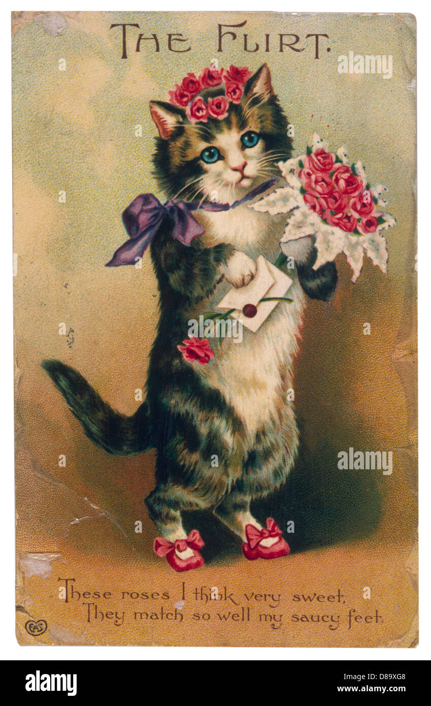 „THE FLIRT“ CAT 19C Stockfoto