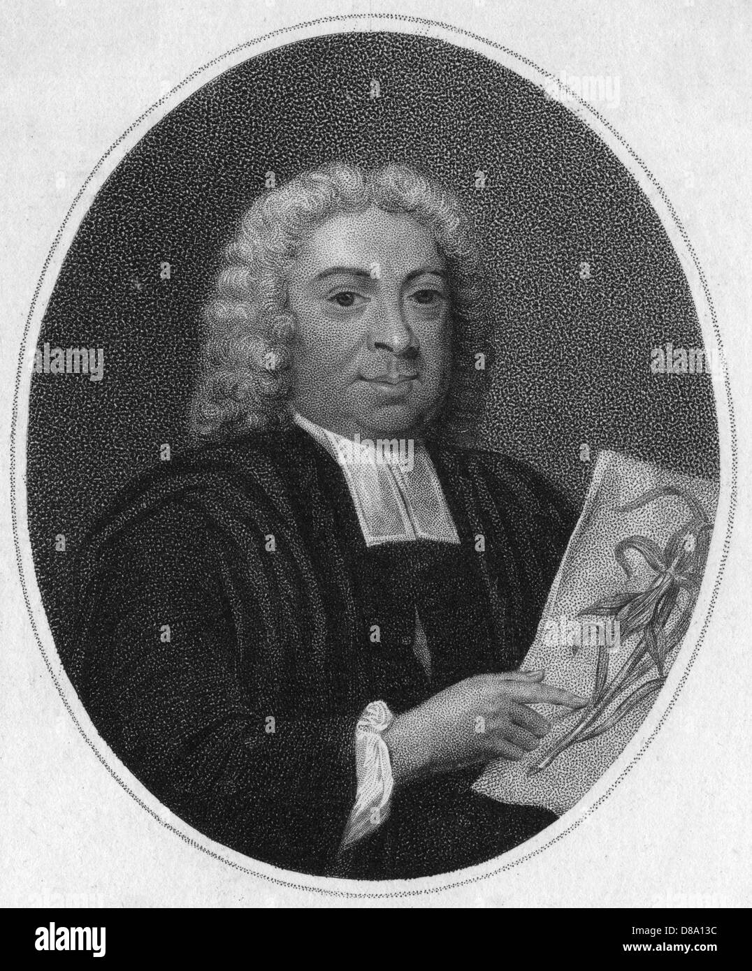 JOHN JAMES DILLENIUS Stockfoto
