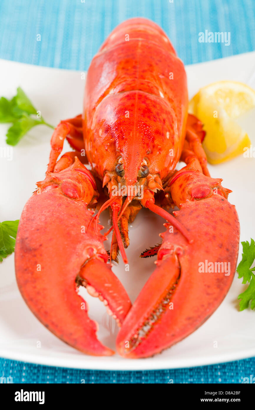 Hummer und Zitrone Keile. Stockfoto