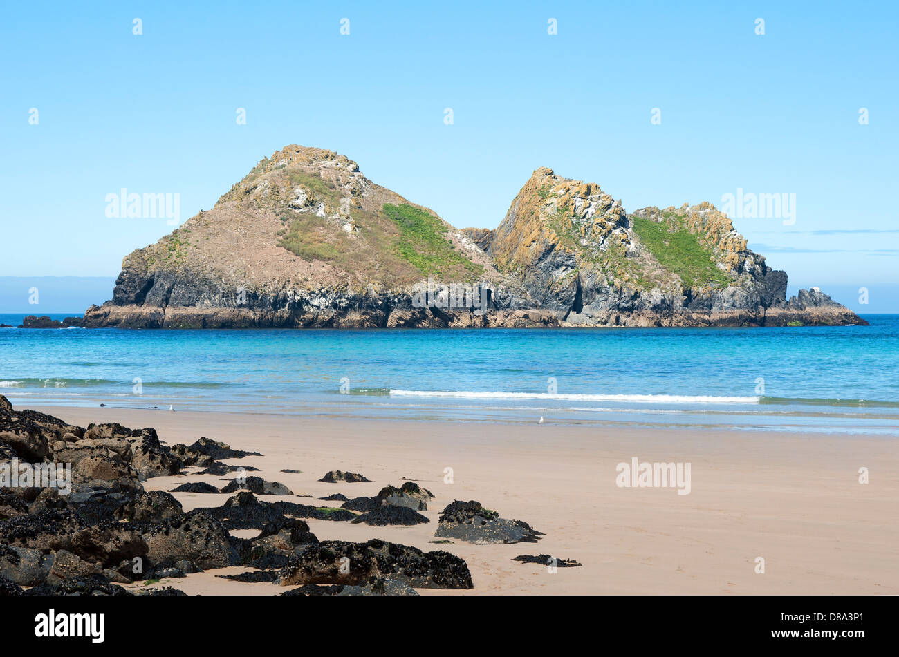 Möwen oder Fuhrleute Felsen vor der Küste in Holywell Bay in der Nähe von Perranporth in Cornwall, Großbritannien Stockfoto