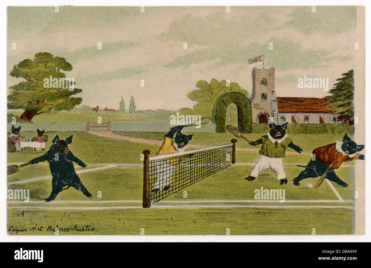 SCHWEINE, DIE TENNIS SPIELEN 1904 Stockfoto