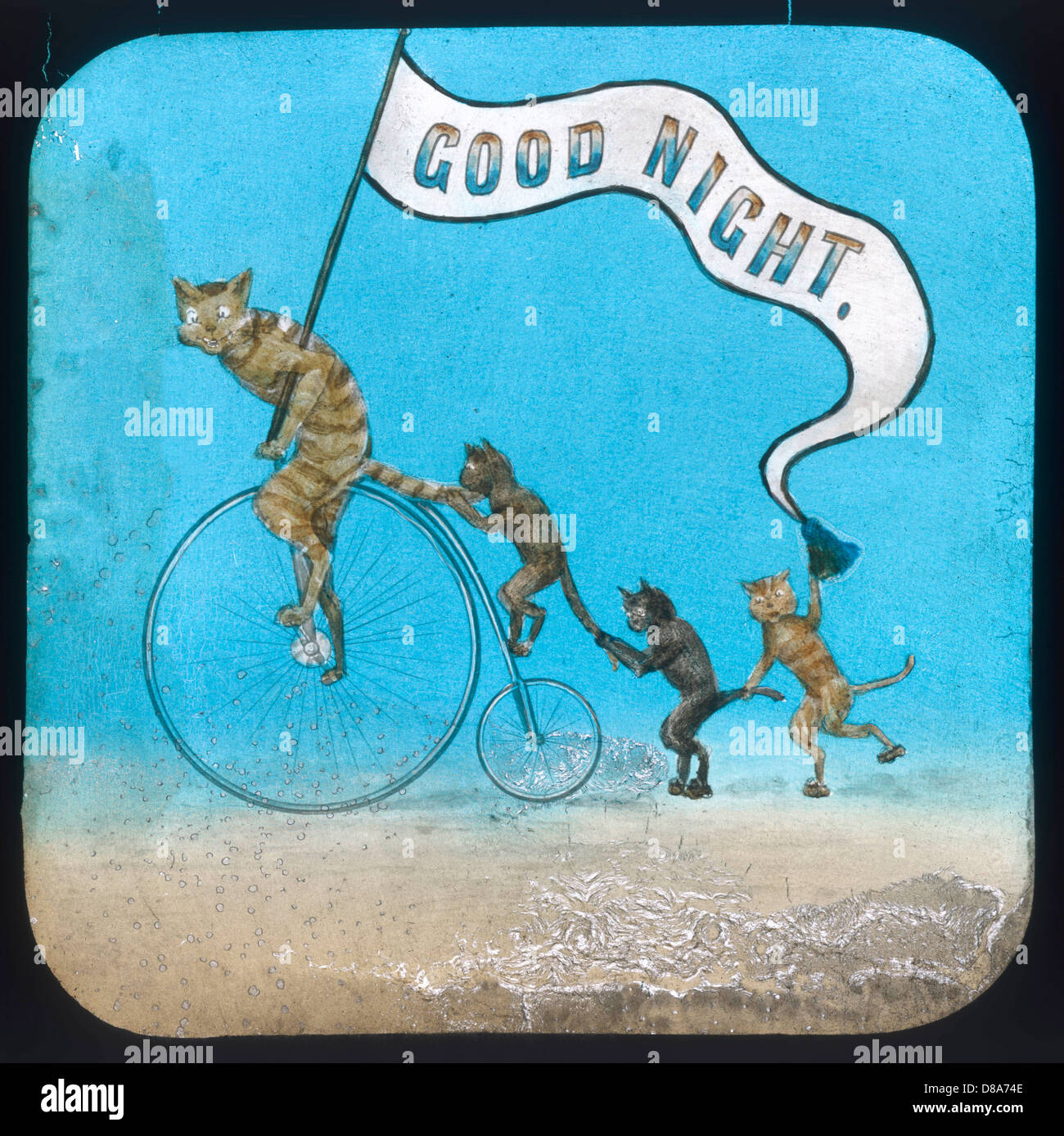 RADFAHRER-KATZEN GUTE NACHT Stockfoto