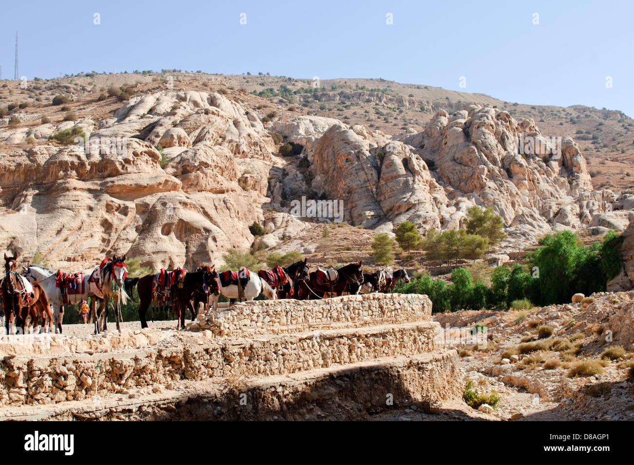 Alten Felsformation in Petra, Jordanien Stockfoto