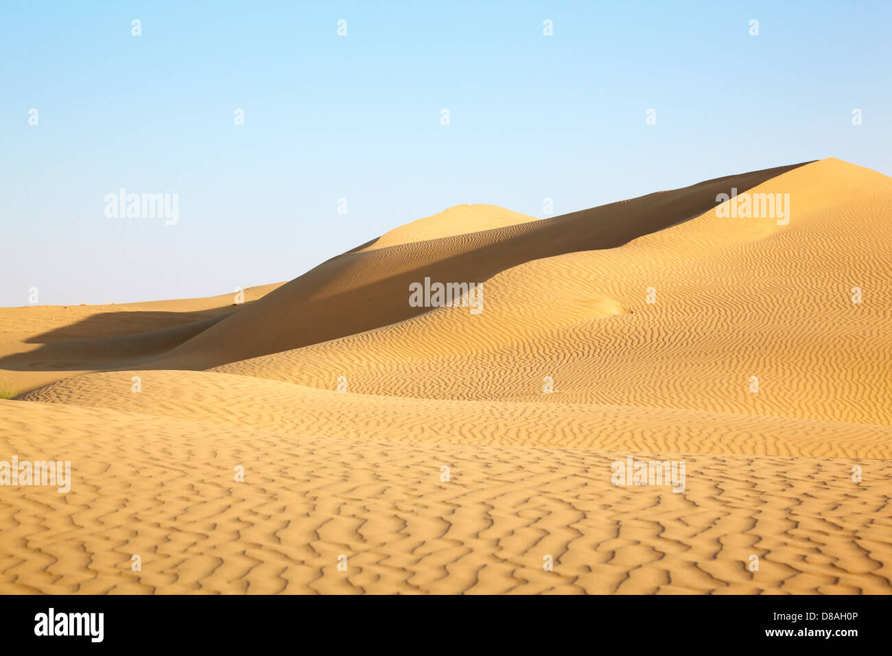 Sanddünen der Wüste Thar in Rajasthan, Indien Stockfoto