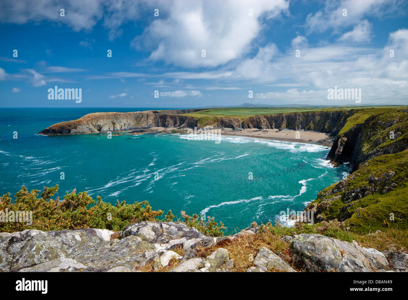 Küstenpfad mit Traeth Llyfn im Hintergrund Abereiddy Saint Davids Pembrokeshire Wales Stockfoto