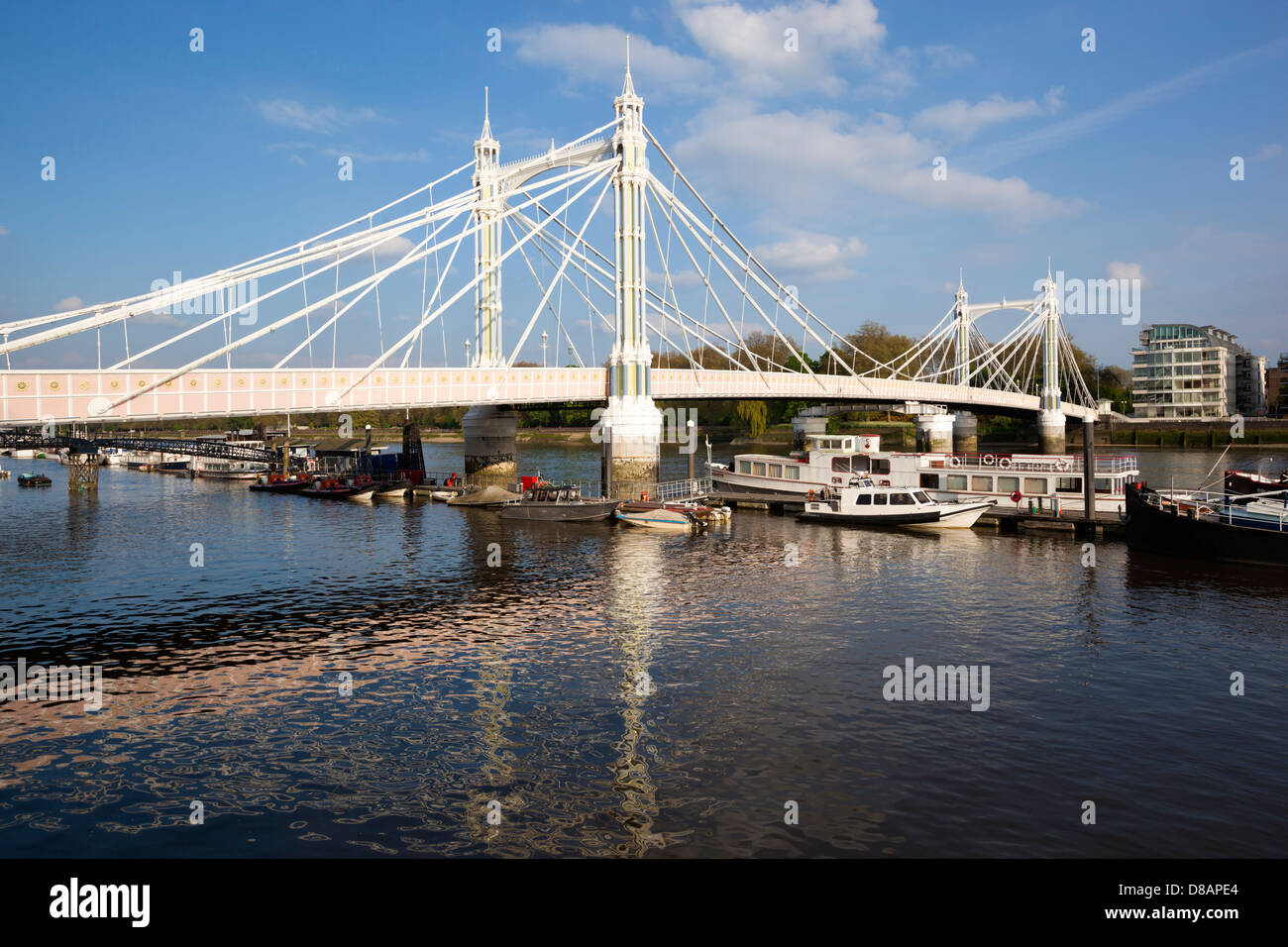 Albert-Brücke über den Fluss Themse Stockfoto
