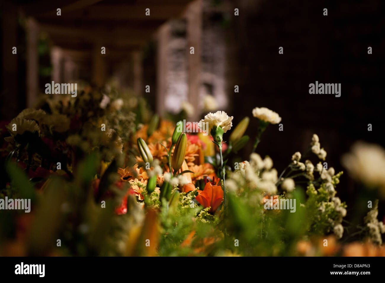 Blumen-detail Stockfoto