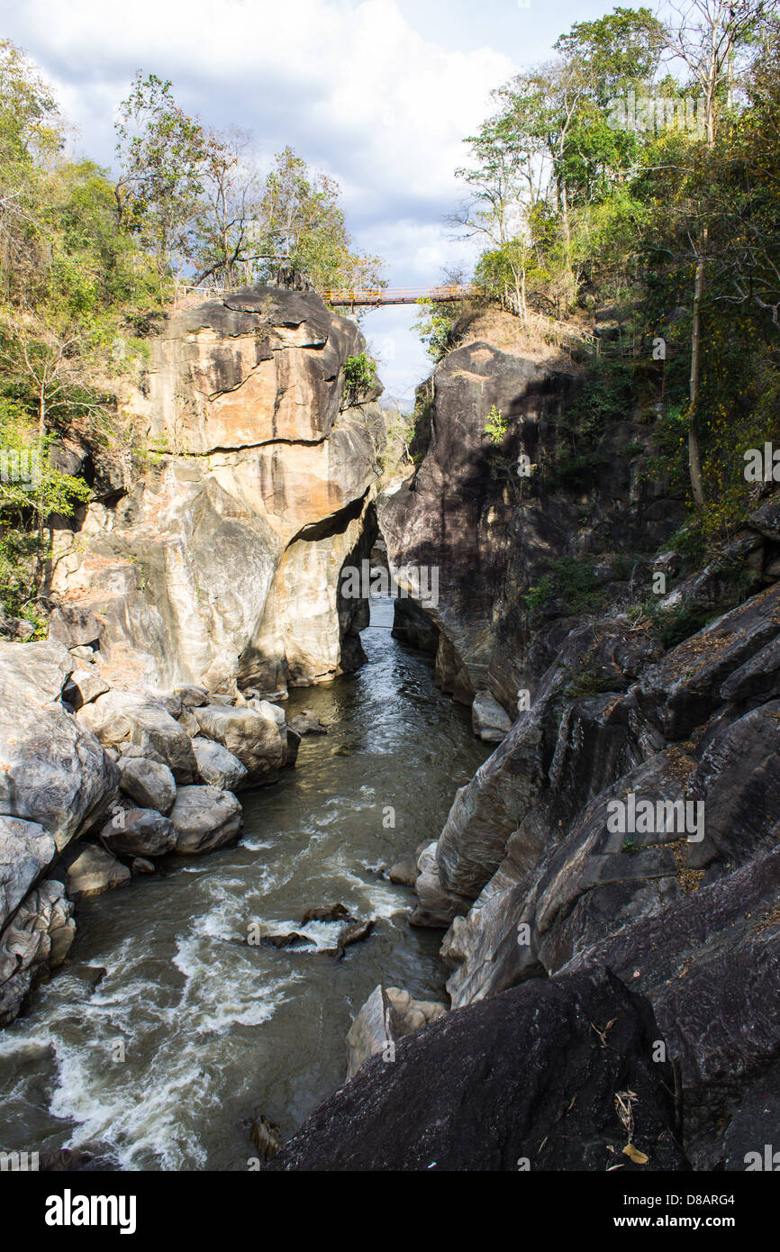 OP-Lunge-Nationalpark, Chiangmai Thailand Stockfoto