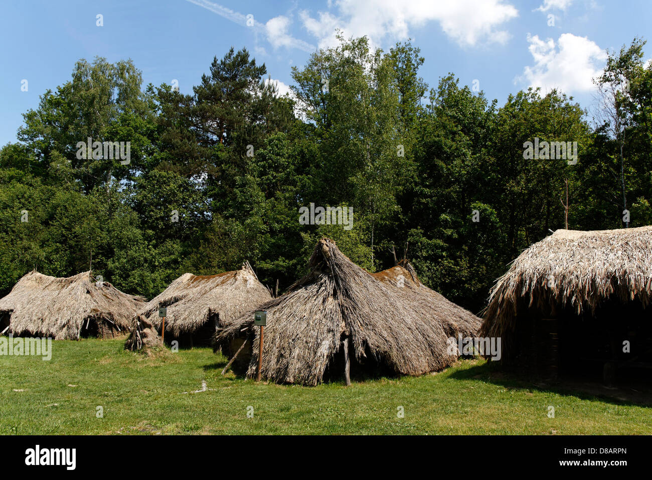 Prähistorische Siedlung in Wola Radziszowa, Polen Stockfoto