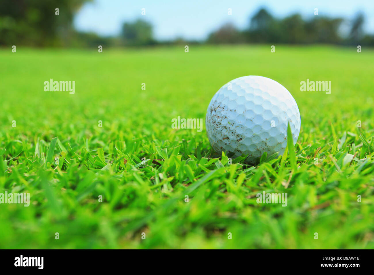 Golfball im fairway Stockfoto